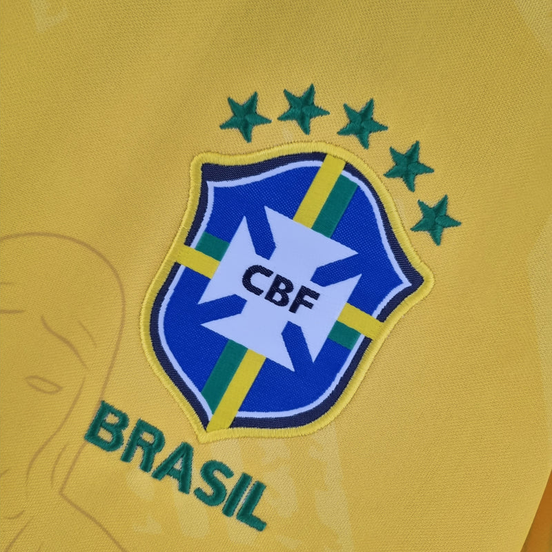 Camisa Conceito Brasil 2021/22